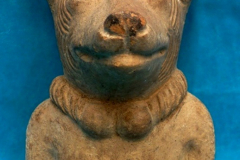 2013_FaunaFlora-14