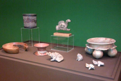 2013_FaunaFlora-19