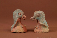 2013_FaunaFlora-37