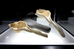 2016_SpeyerMuseum-61